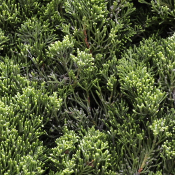 Sigma 24-70mm f/2.8 Art Field Test -- Gallery Image