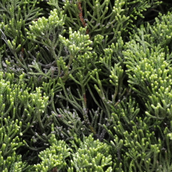 Sigma 24-70mm f/2.8 Art Field Test -- Gallery Image