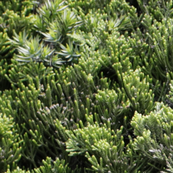 Sigma 24-70mm f/2.8 Art Field Test -- Gallery Image