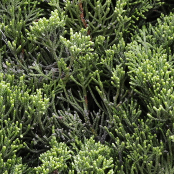 Sigma 24-70mm f/2.8 Art Field Test -- Gallery Image