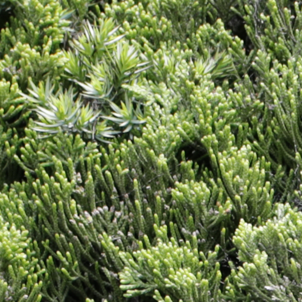 Sigma 24-70mm f/2.8 Art Field Test -- Gallery Image