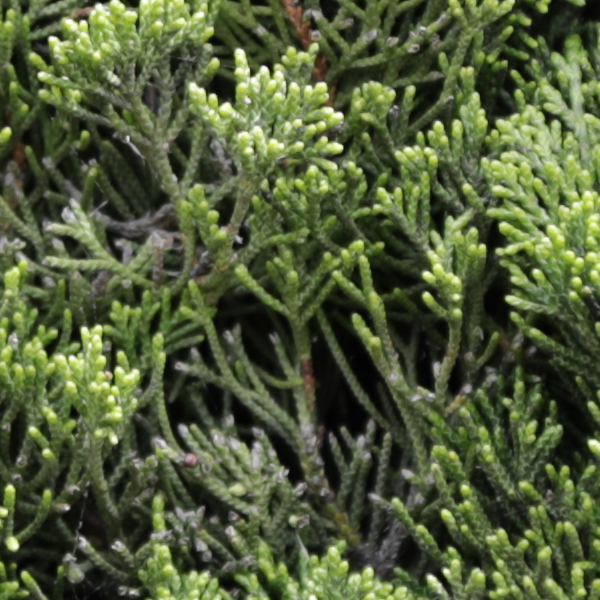 Sigma 24-70mm f/2.8 Art Field Test -- Gallery Image