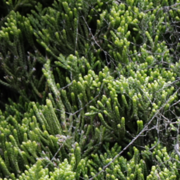 Sigma 24-70mm f/2.8 Art Field Test -- Gallery Image