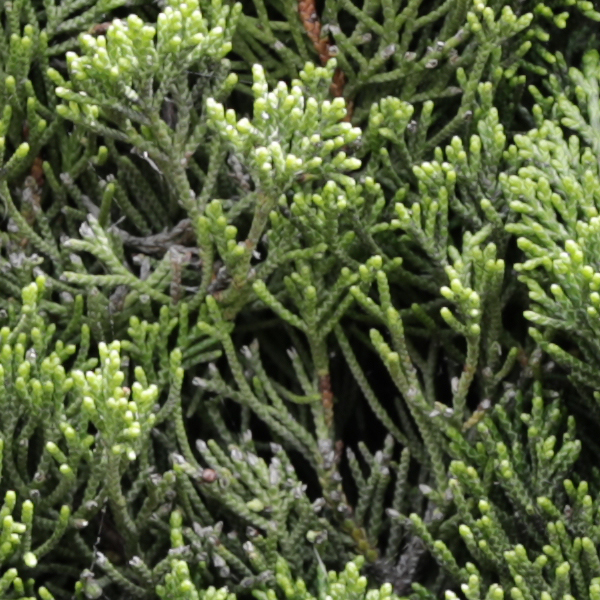 Sigma 24-70mm f/2.8 Art Field Test -- Gallery Image