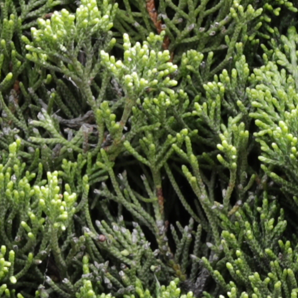 Sigma 24-70mm f/2.8 Art Field Test -- Gallery Image