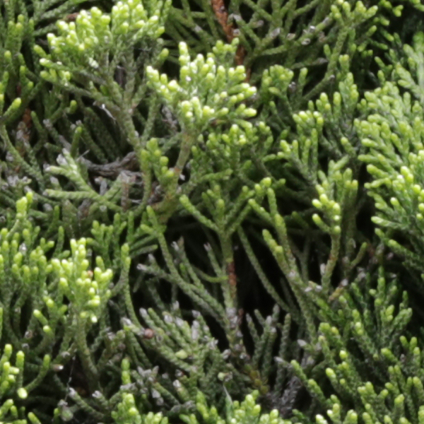 Sigma 24-70mm f/2.8 Art Field Test -- Gallery Image