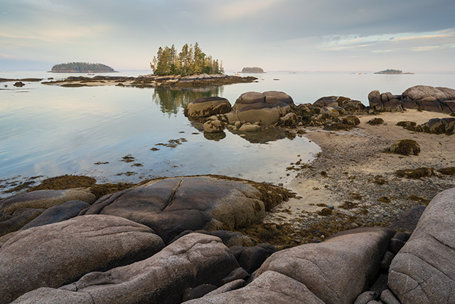 Sigma 24mm F1.4 DG DN Art Review -- Gallery Image