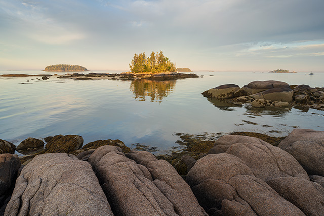 Sigma 24mm F1.4 DG DN Art Review -- Gallery Image