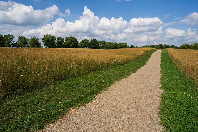 Sigma 24mm F1.4 DG DN Art Review -- Gallery Image