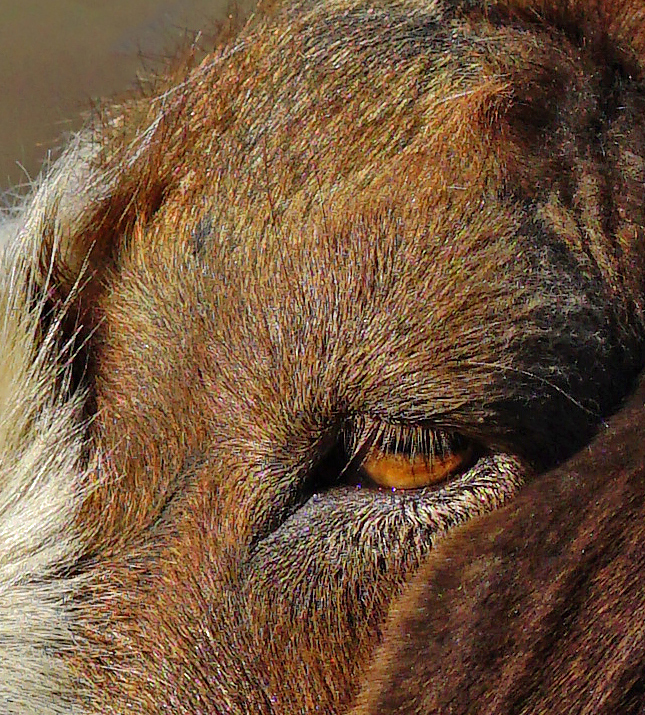 Sigma 56mm f/1.4 Sample Image