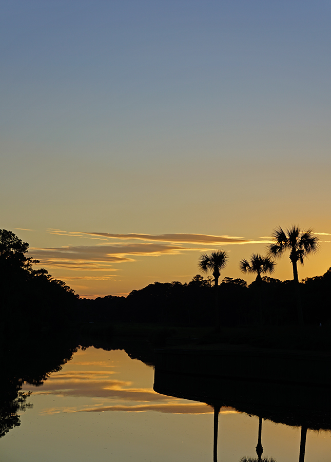 Sigma 56mm f/1.4 Sample Image