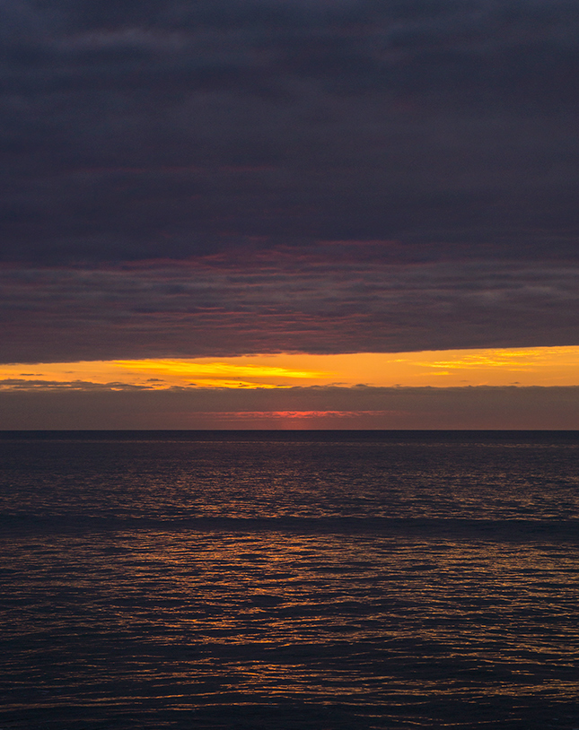 Sigma 56mm f/1.4 Sample Image