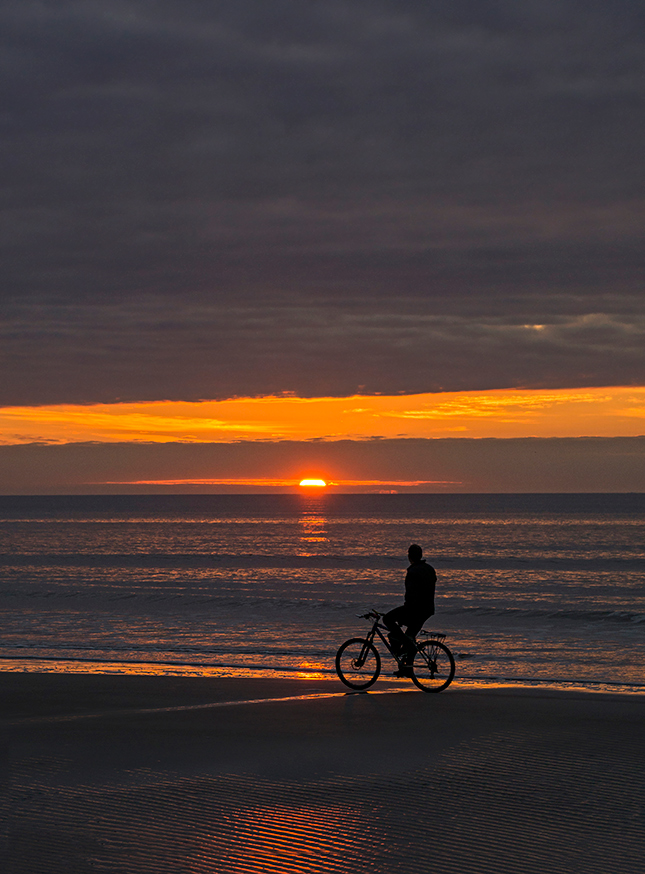 Sigma 56mm f/1.4 Sample Image