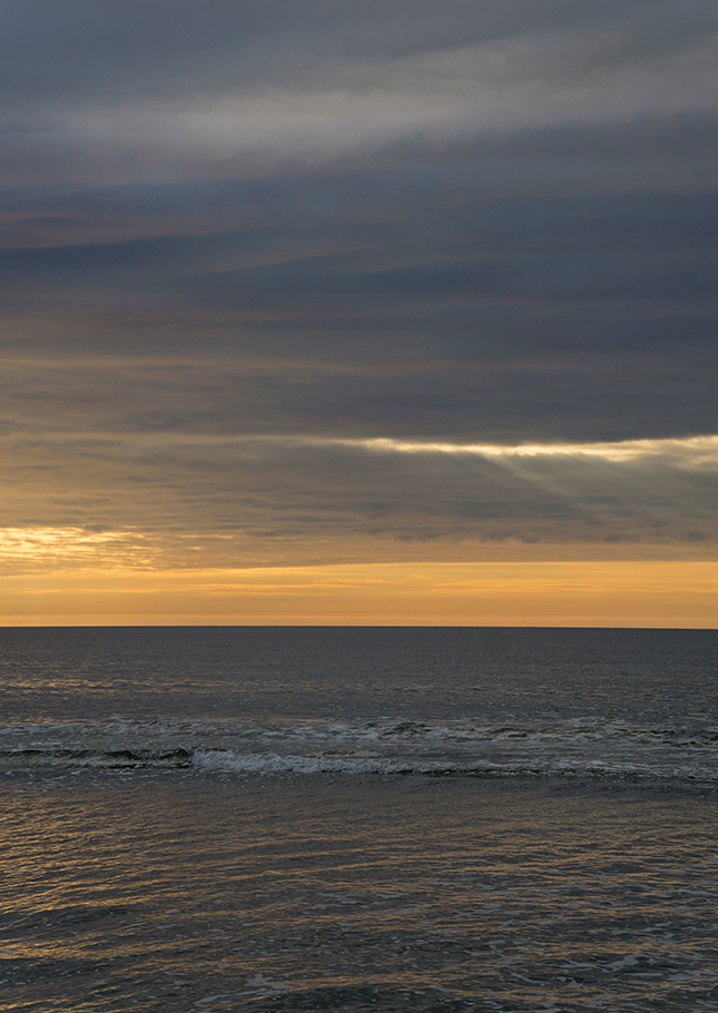 Sigma 56mm f/1.4 Sample Image