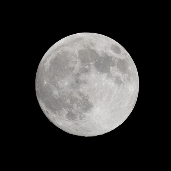 Sigma 60-600mm f/4.5-6.3 DG OS HSM Sport Review: Field Test -- Gallery Image