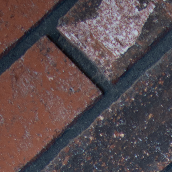 Sigma 60-600mm f/4.5-6.3 DG OS HSM Sport Review: Field Test -- Gallery Image