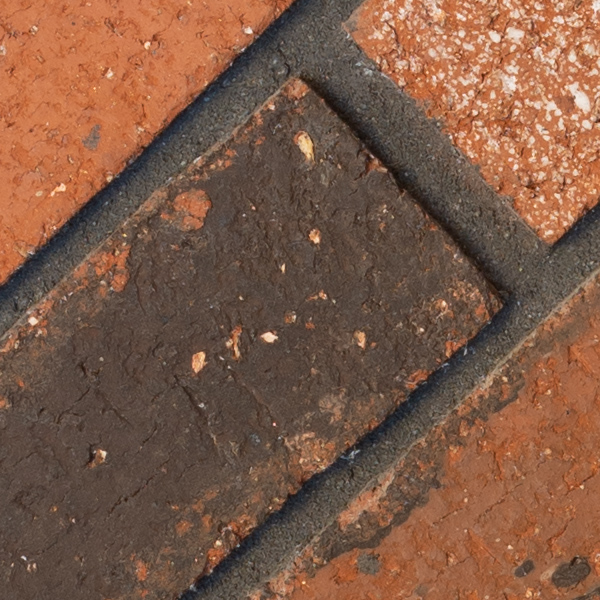 Sigma 60-600mm f/4.5-6.3 DG OS HSM Sport Review: Field Test -- Gallery Image