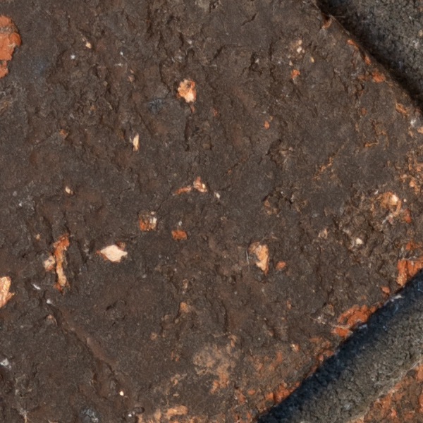 Sigma 60-600mm f/4.5-6.3 DG OS HSM Sport Review: Field Test -- Gallery Image