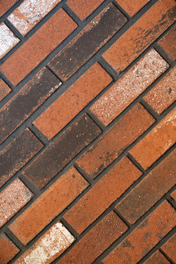 Sigma 60-600mm f/4.5-6.3 DG OS HSM Sport Review: Field Test -- Gallery Image