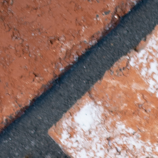 Sigma 60-600mm f/4.5-6.3 DG OS HSM Sport Review: Field Test -- Gallery Image