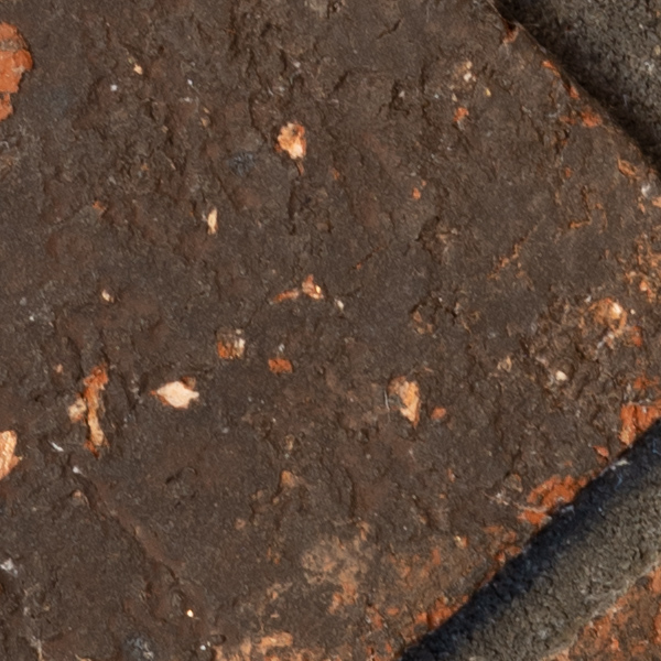 Sigma 60-600mm f/4.5-6.3 DG OS HSM Sport Review: Field Test -- Gallery Image