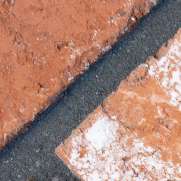 Sigma 60-600mm f/4.5-6.3 DG OS HSM Sport Review: Field Test -- Gallery Image