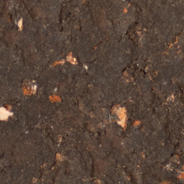 Sigma 60-600mm f/4.5-6.3 DG OS HSM Sport Review: Field Test -- Gallery Image