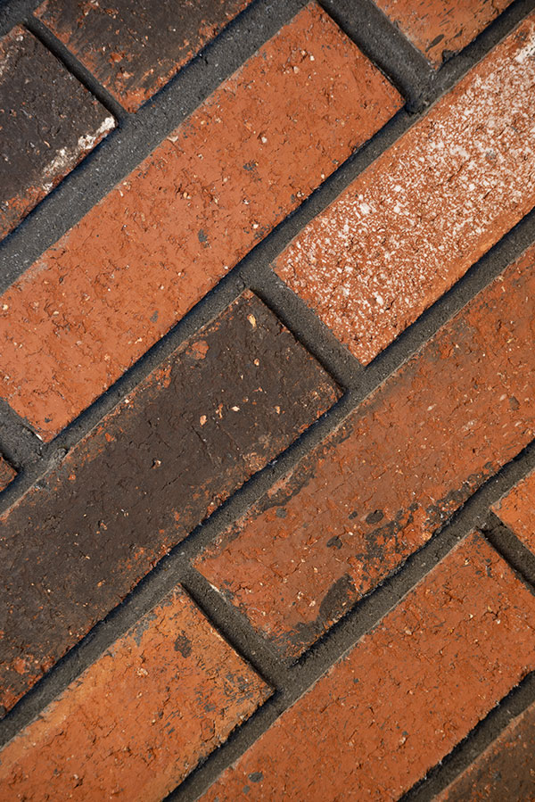 Sigma 60-600mm f/4.5-6.3 DG OS HSM Sport Review: Field Test -- Gallery Image