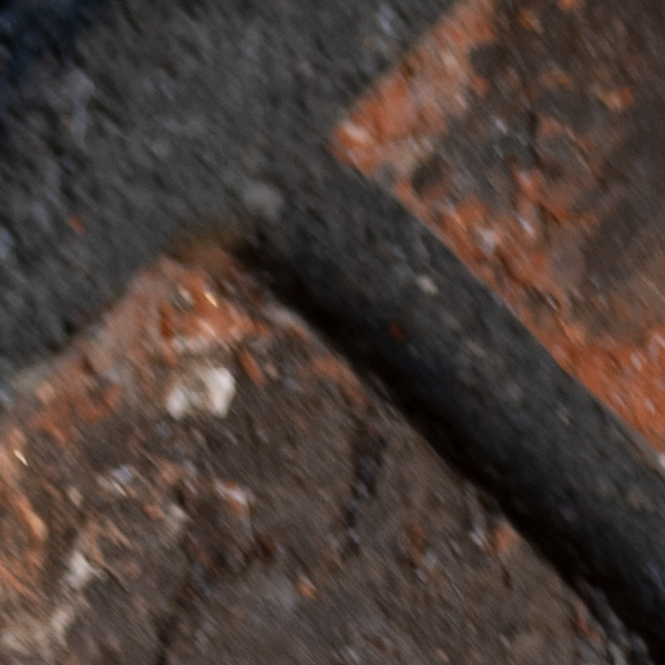 Sigma 60-600mm f/4.5-6.3 DG OS HSM Sport Review: Field Test -- Gallery Image