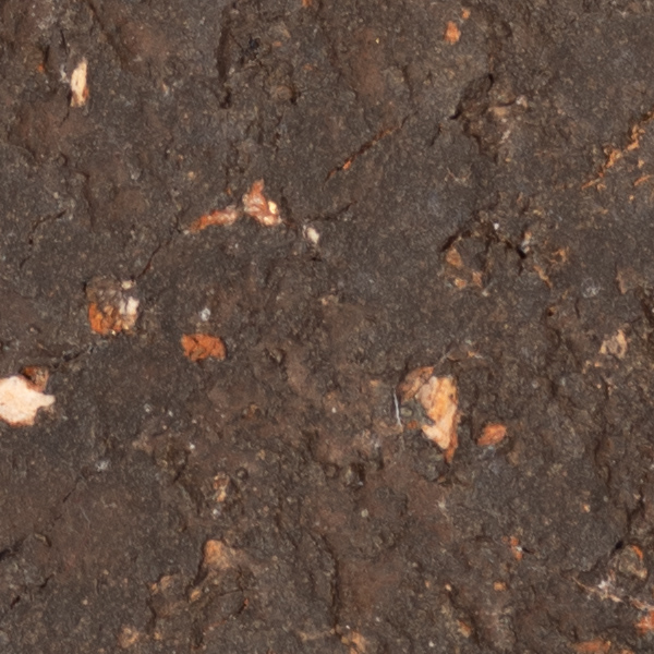 Sigma 60-600mm f/4.5-6.3 DG OS HSM Sport Review: Field Test -- Gallery Image