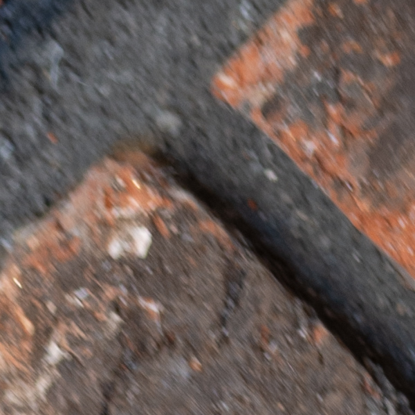 Sigma 60-600mm f/4.5-6.3 DG OS HSM Sport Review: Field Test -- Gallery Image