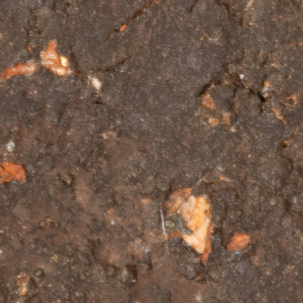 Sigma 60-600mm f/4.5-6.3 DG OS HSM Sport Review: Field Test -- Gallery Image