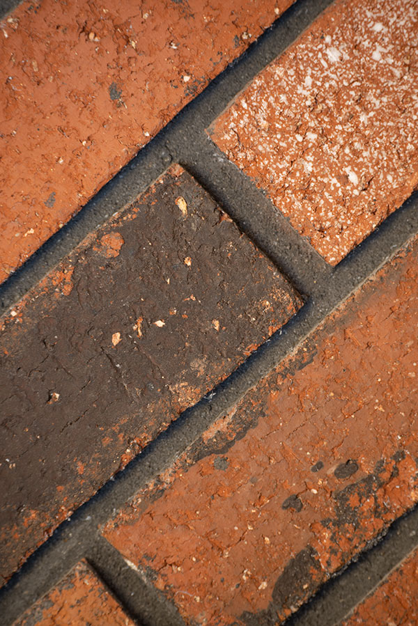 Sigma 60-600mm f/4.5-6.3 DG OS HSM Sport Review: Field Test -- Gallery Image