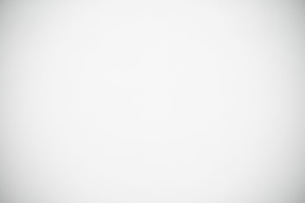 Sigma 60-600mm f/4.5-6.3 DG OS HSM Sport Review: Field Test -- Gallery Image