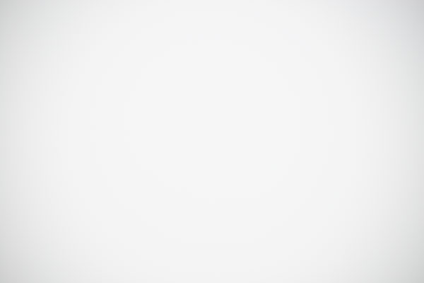 Sigma 60-600mm f/4.5-6.3 DG OS HSM Sport Review: Field Test -- Gallery Image