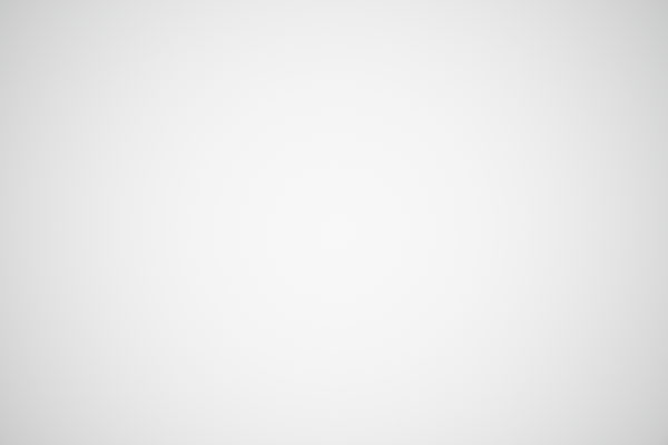 Sigma 60-600mm f/4.5-6.3 DG OS HSM Sport Review: Field Test -- Gallery Image