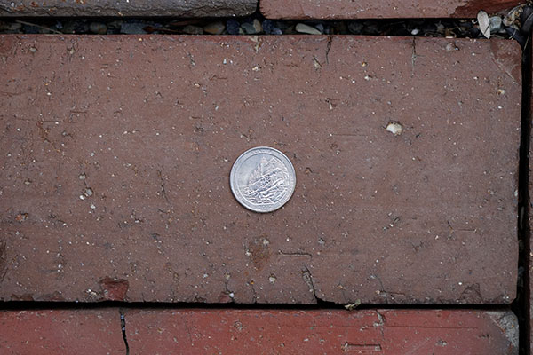 Sony FE 100-400mm f/4.5-5.6 GM OSS Review: Field Test -- Close Focus Image