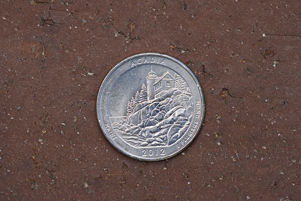 Sony FE 100-400mm f/4.5-5.6 GM OSS Review: Field Test -- Close Focus Image