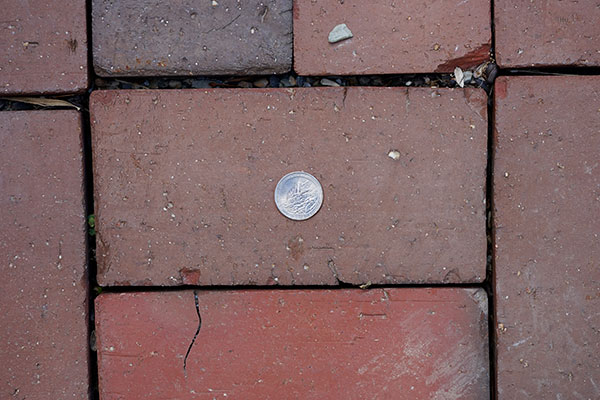 Sony FE 100-400mm f/4.5-5.6 GM OSS Review: Field Test -- Close Focus Test Image