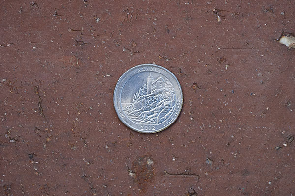 Sony FE 100-400mm f/4.5-5.6 GM OSS Review: Field Test -- Close Focus Test Image