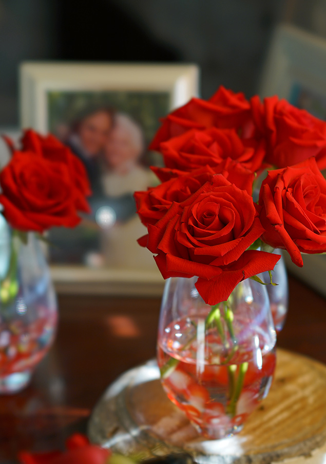 Sony 100mm f/2.8 STF - sample gallery image