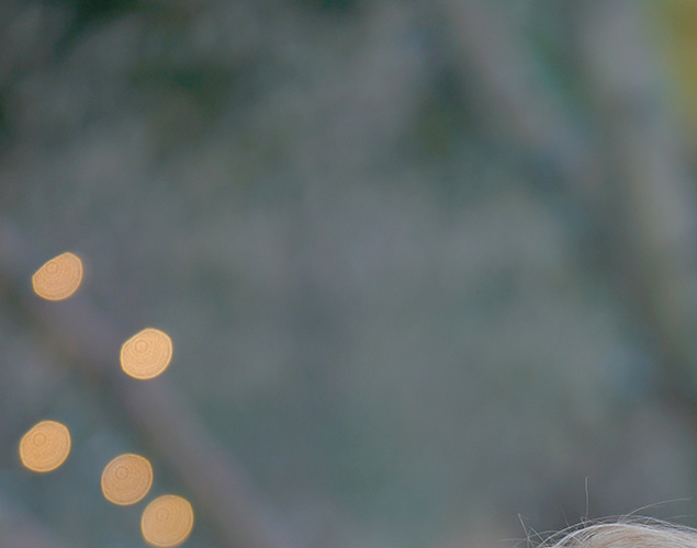 Sony 70-200mm f/2.8 STF - sample image