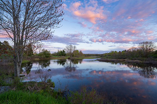 Sony FE 14mm f/1.8 GM Review: Field Test -- Gallery Image