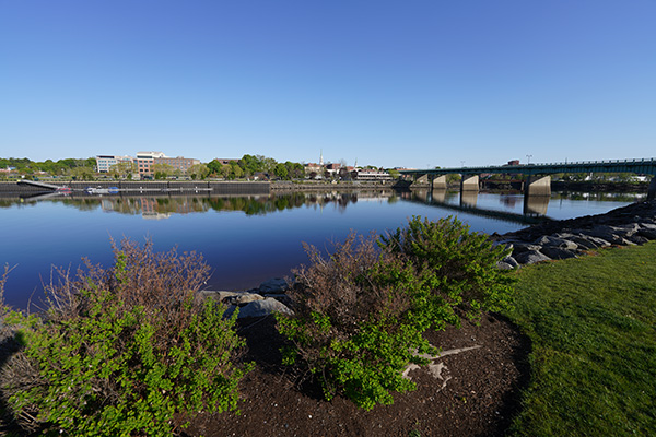 Sony FE 14mm f/1.8 GM Review: Field Test -- Gallery Image