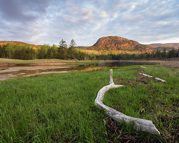 Sony FE 14mm f/1.8 GM Review: Field Test -- Gallery Image
