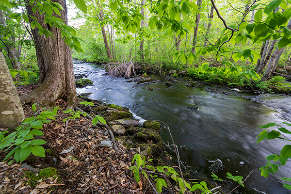 Sony FE 14mm f/1.8 GM Review: Field Test -- Gallery Image