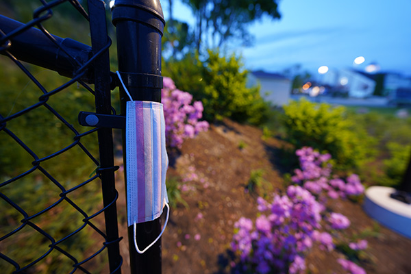 Sony FE 14mm f/1.8 GM Review: Field Test -- Gallery Image