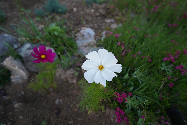 Sony FE 14mm f/1.8 GM Review: Field Test -- Gallery Image