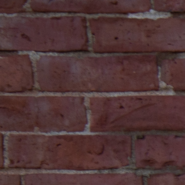 Sony FE 14mm f/1.8 GM Review: Field Test -- Gallery Image