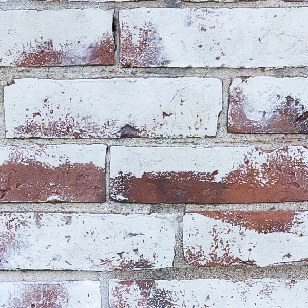 Sony FE 14mm f/1.8 GM Review: Field Test -- Gallery Image